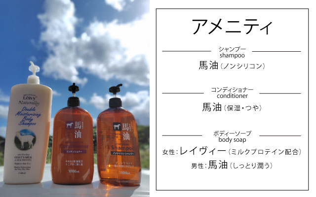 カード画像のキャプション2